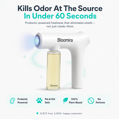 Bloomira FreshMist Pro
