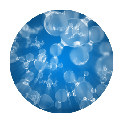 Probiotic + Enzyme Formula