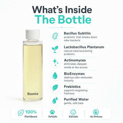Bloomira FreshMist Pro